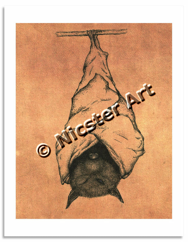 Bat!