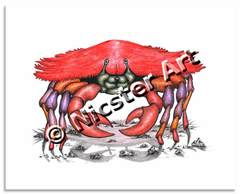 Cantankerous Crustacean