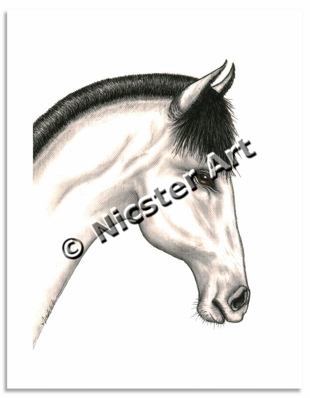 Equine Life