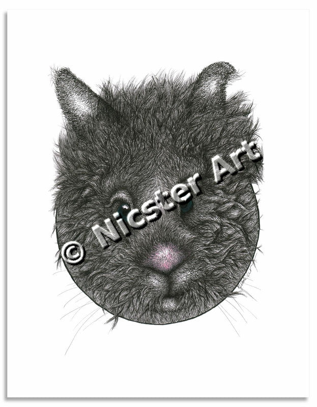 Rabbit Hole