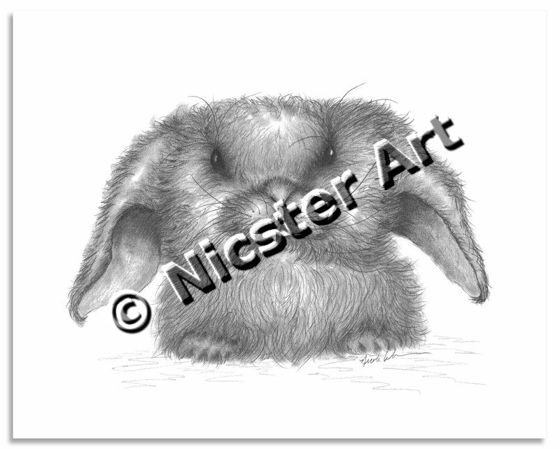 Resting Bunny Face