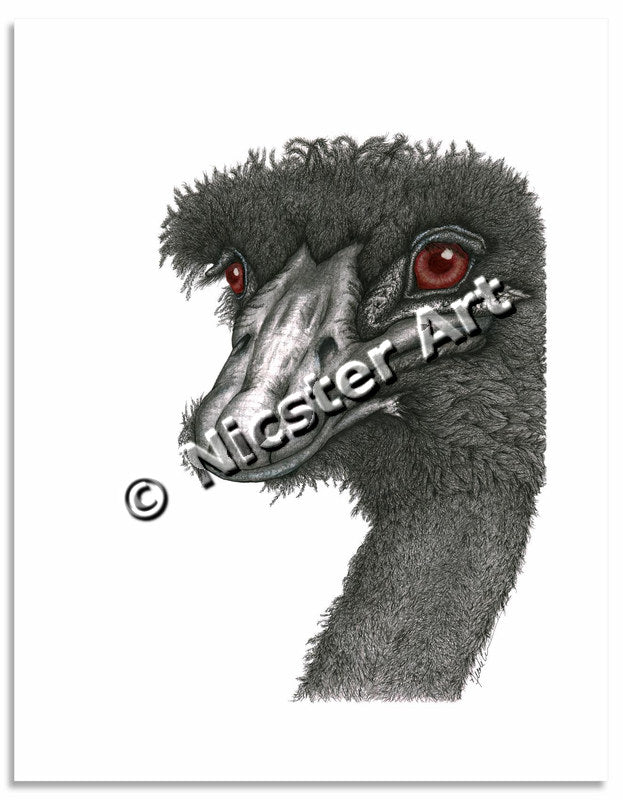 The Eyes Have It